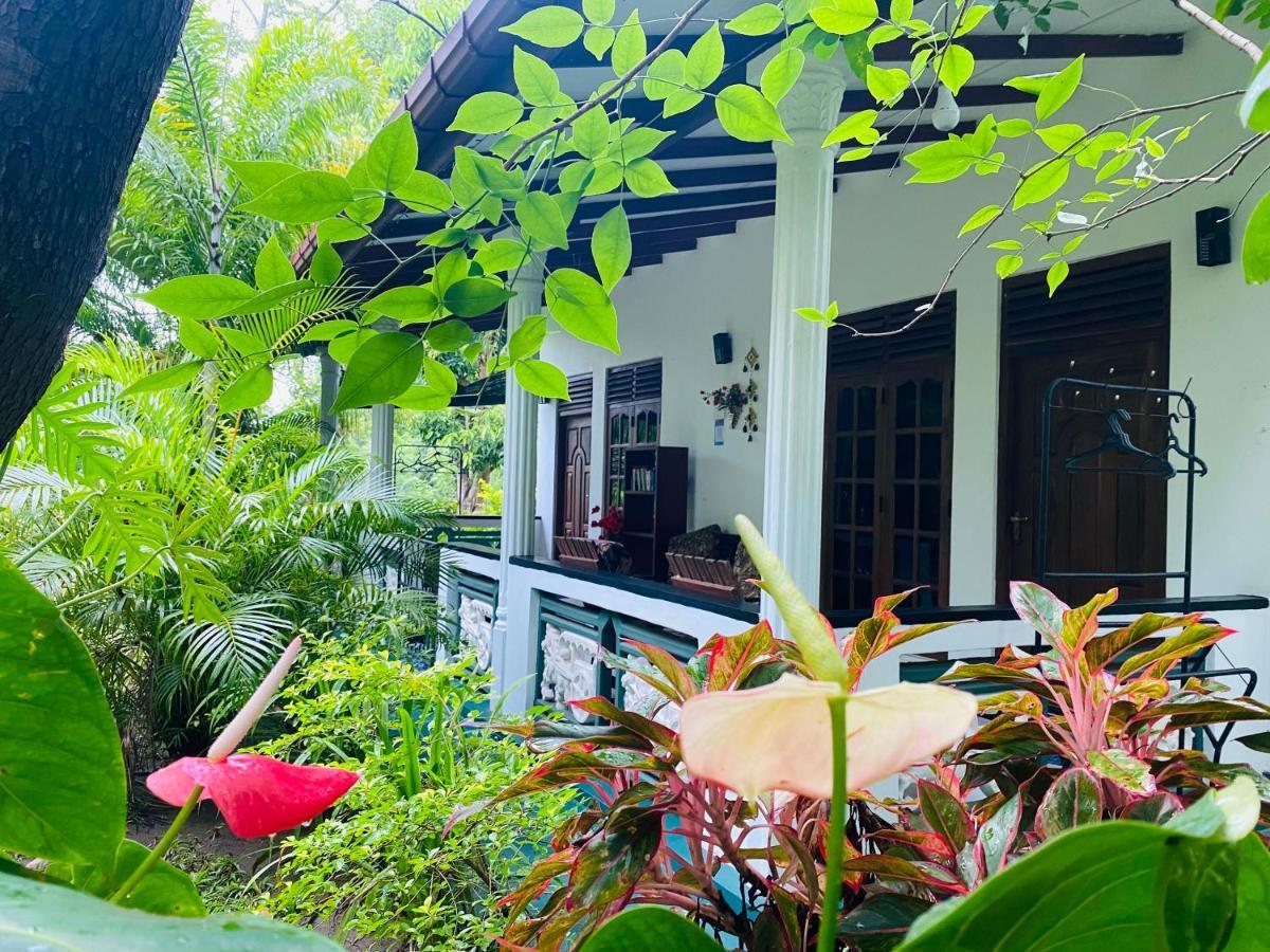 Homestay Sigiri Saman Sigiriya