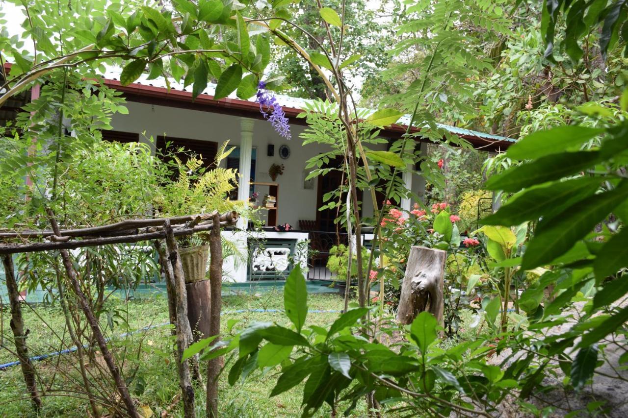 Homestay Sigiri Saman Sigiriya