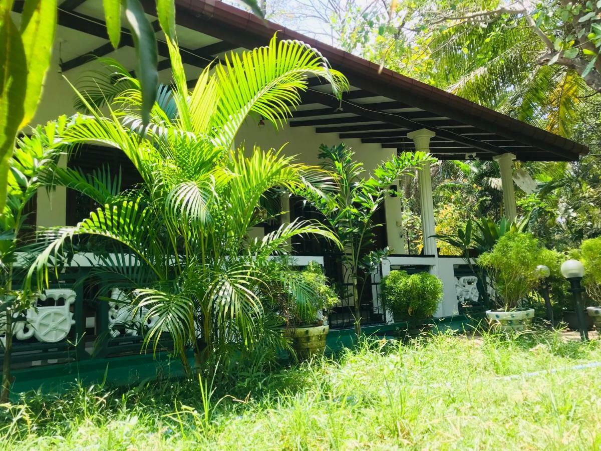 Homestay Sigiri Saman *